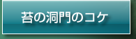 苔の洞門のコケ