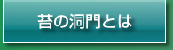 苔の洞門とは