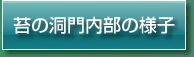 苔の洞門内部の様子