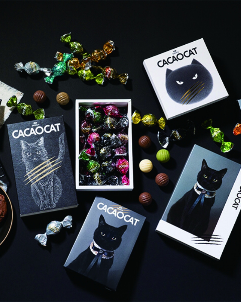 カカオキャット