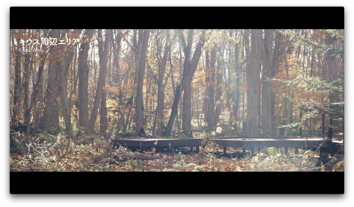 キウス周辺エリア イメージ画像