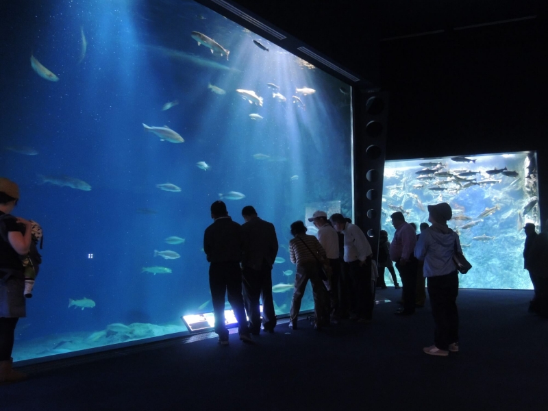 サケのふるさと 千歳水族館