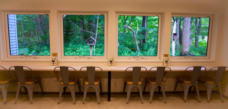 The bird watching café