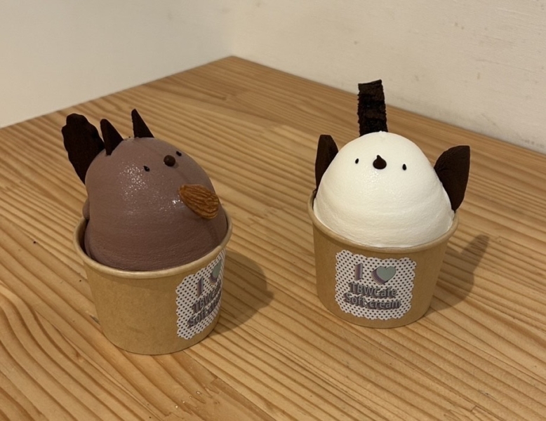 The bird watching café