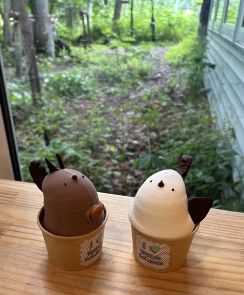 The bird watching café