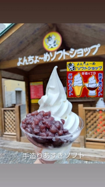 よんちょ〜めソフトショップ